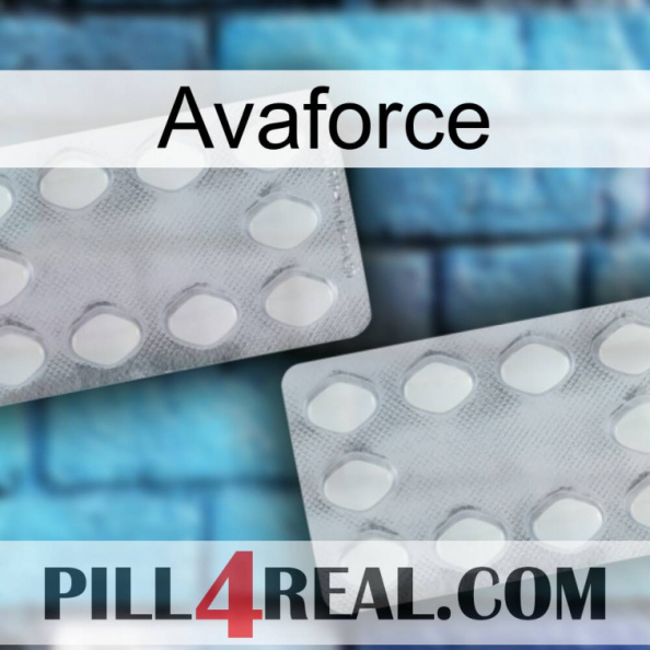 Avaforce 17